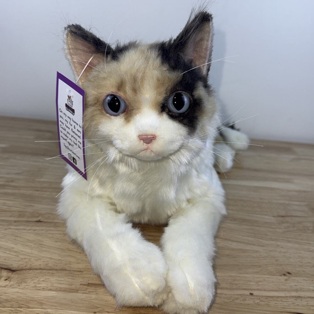 Cuddle Clones Plush Realistic Calico Cat “Kitty” Blue Eyes Soft NEW